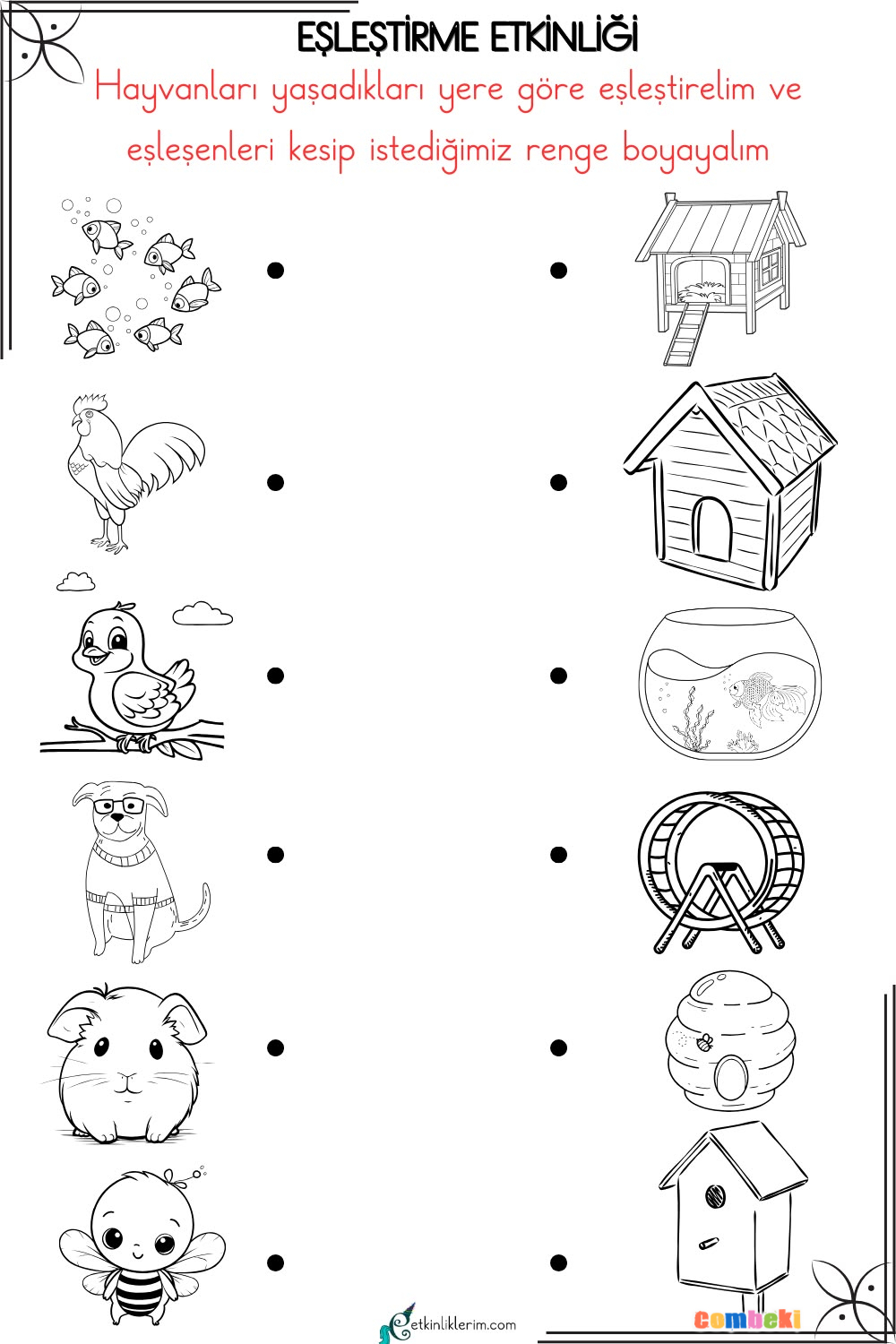 Hayvanları Yaşadıkları Yere Göre Eşleştirelim