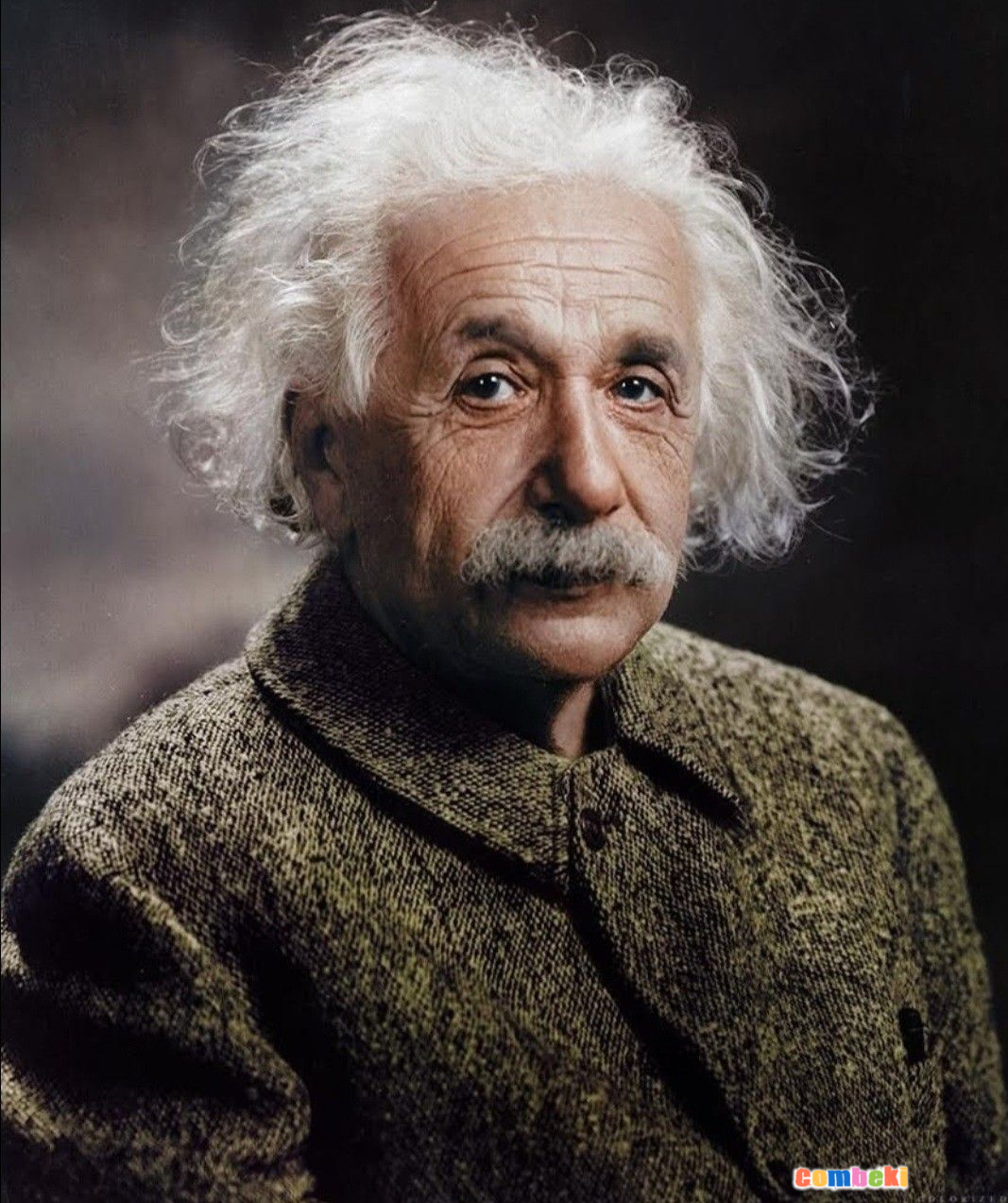 Einstein'ın portresi | Portrait of Einstein