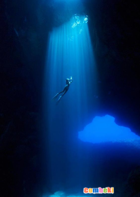 Su Altı Dünyası - Hakkında Geniş Bilgi Pembebere.com