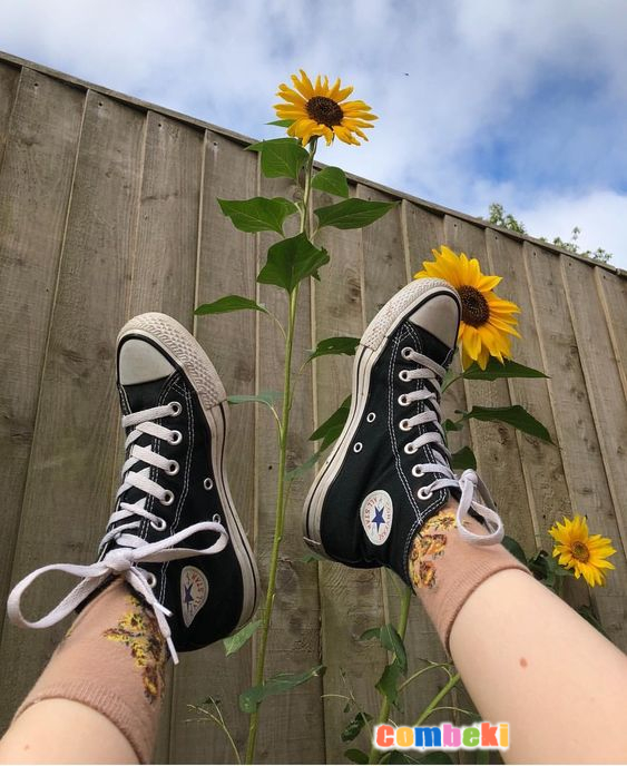 Biribirinden Güzel Converse Ayakkabılar 1