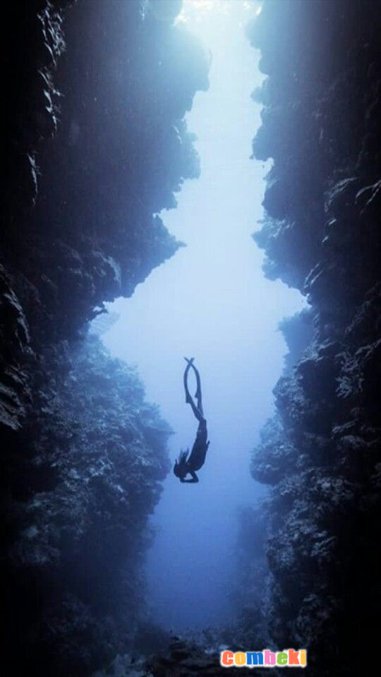 Sualtı dünyasının Gizemleri - Hakkında Geniş Bilgi Pembebere.com