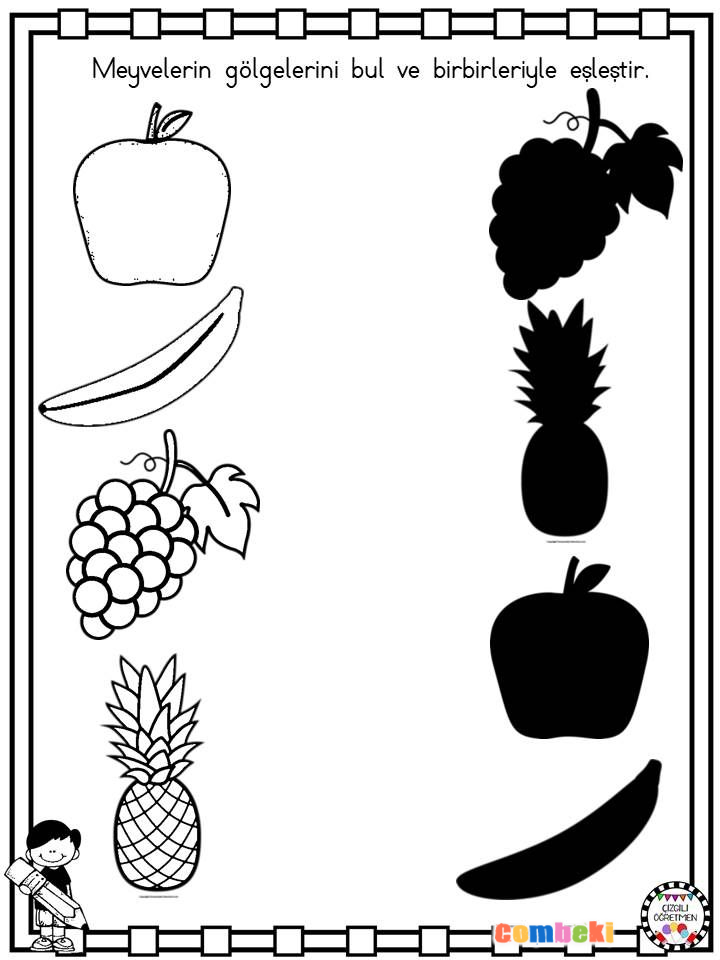 Meyvelerin Gölgelerini Eşleştir