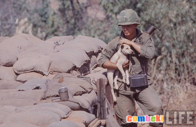 Vietnam Savaşı sonrası yıkım manzaraları