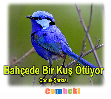 Minik Serçe - Sözer - Çocuk Şarkısı