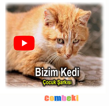 Bizim Kedi - Çocuk Şarkısı