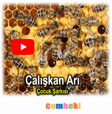Çalışkan Arı Şarkısı - Çocuk Şarkısı