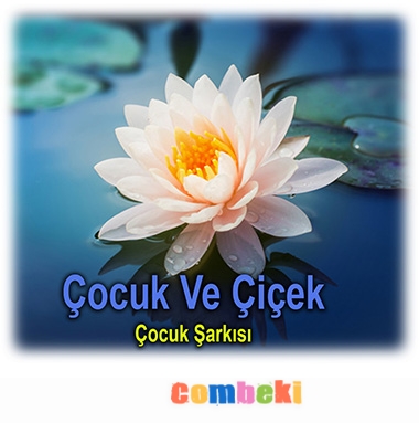 Çocuk Ve Çiçek - Çocuk Şarkısı