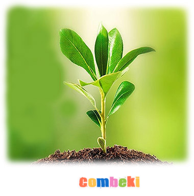 Doğa - Çocuk Şarkısı - Şarkı Sözleri - Dinle - İndir