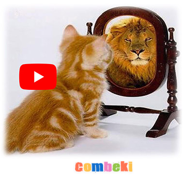 Kedi - Çocuk Şarkısı - Şarkı Sözleri - Dinle - İndir