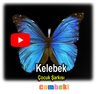 Kelebek - Çocuk Şarkısı