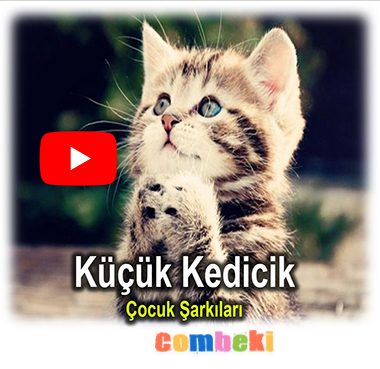 Küçük Kedicik - Çocuk Şarkısı