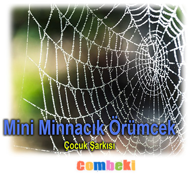 Mini Minnacık Örümcek - Çocuk Şarkısı