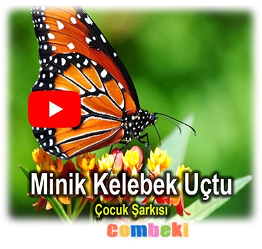 Minik Kelebek Uçtu - Çocuk Şarkısı - Şarkı Sözleri - Dinle - İndir