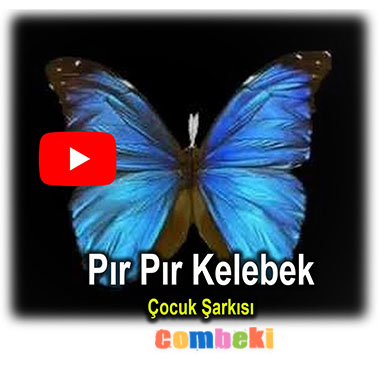 Pır Pır Kelebek - Çocuk Şarkısı