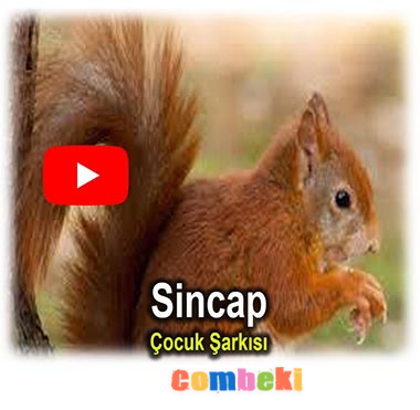 Sincap - Çocuk Şarkısı - Şarkı Sözleri - Dinle - İndir