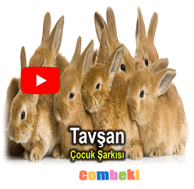 Sevimli Tavşan - Çocuk Şarkısı - Şarkı Sözleri - Dinle - İndir