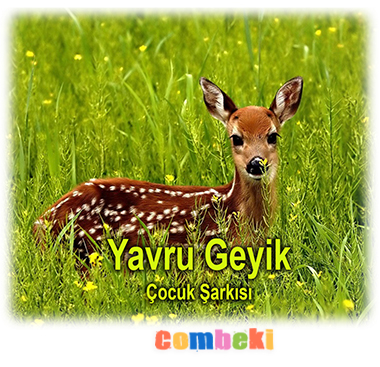 Yavru Geyik - Çocuk Şarkısı