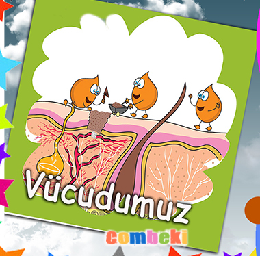 Vucudumu Severim - Çocuk Şarkısı - Şarkı Sözleri - Dinle - İndir