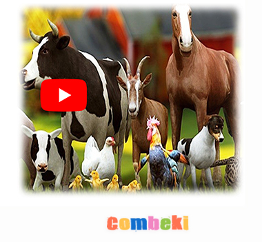 Amcamın Çiftliği - Çocuk Şarkısı - Şarkı Sözleri - Dinle - İndir Amcamın Çiftliği - Çocuk Şarkısı - Şarkı Sözleri - Dinle - İndir