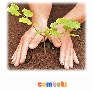 Bir Ağaç Dik Haydi Gel - Çocuk Şarkısı Bir Ağaç Dik Haydi Gel - Çocuk Şarkısı