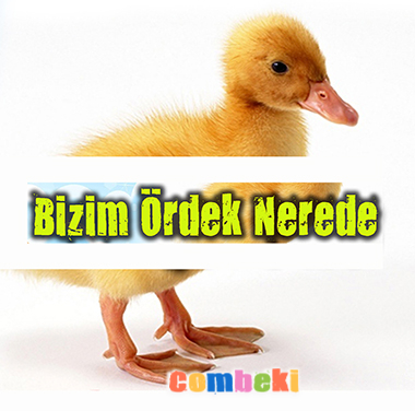 Bizim Ördek Nerede - Çocuk Şarkısı Bizim Ördek Nerede - Çocuk Şarkısı