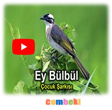 Ey Bülbül - Çocuk Şarkısı - Şarkı Sözleri - Dinle - İndir Ey Bülbül - Çocuk Şarkısı - Şarkı Sözleri - Dinle - İndir