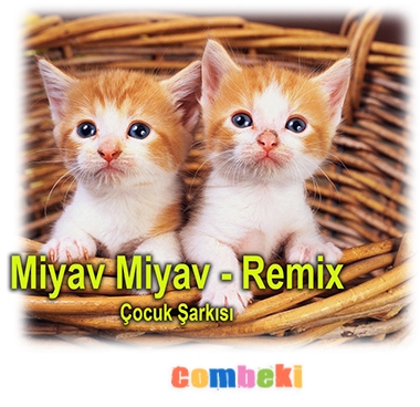Çocuk Şarkısı Çocuk Şarkısı