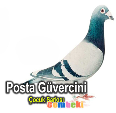 Posta Güvercini Şarkısı - Çocuk Şarkısı Posta Güvercini Şarkısı - Çocuk Şarkısı