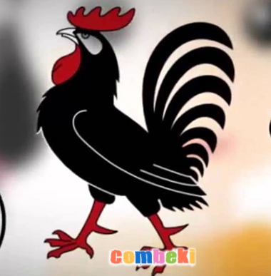 Çocuk Şarkısı Çocuk Şarkısı