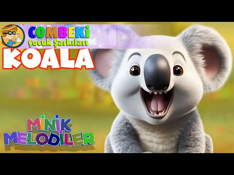 Sevimli Koala