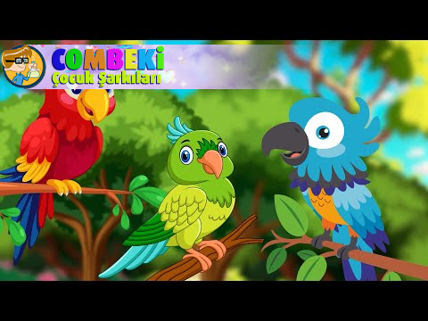 Aysuda Ülkü Zeren - Papağan