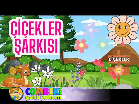 Çiçekleri Öğreniyorum
