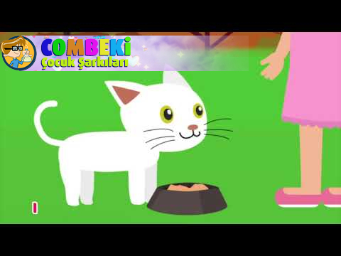 Fluffy White Kitten - Demet s Songs For Children - Demet Tekin