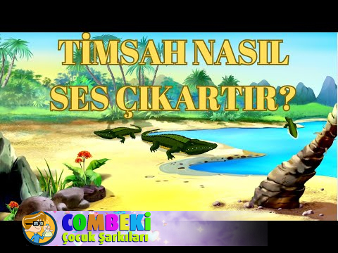 Timsah Nasıl Ses Çıkartır?