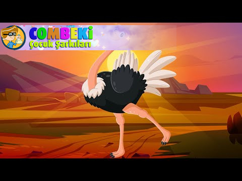 Aysuda Ülkü Zeren - Devekuşu