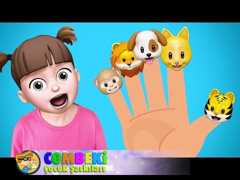 Kedi Parmak Nerdesin