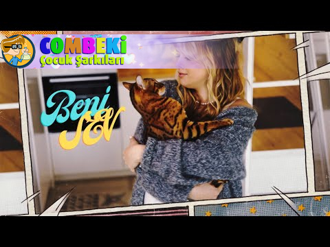 Beni Sev | Bir Kedinin Gözünden Sokak Hayvanları