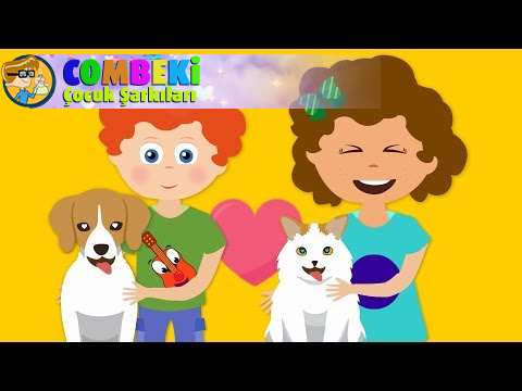 Hayvanlar - Volkan Öğretmen