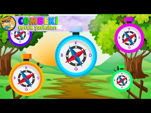 Aysuda Ülkü Zeren , Pusula