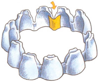princess-crown2.jpg