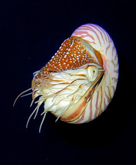 172323184_631c541ae4_m.jpg