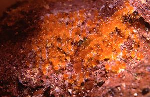 1277.jpg